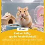 Hamsterbur 3 Våningar Naturfärgad Trä och Plexiglas för Smådjur Stor Bur med Hus och Tillbehör Rymlig Design och God Ventilation