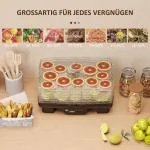 Dehydrator Mattork Svamptork med 6 Fack Svart av Plast och Metall för Frukt och Kött Timer 40-70°C 550 W