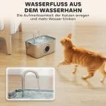 Kattdricksfontän 3,2 L med Tyst Pump och Aktivt Kolfilter