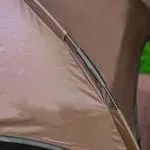 Högt Klösträd i Naturtrogen Design, XXL Klösmöbel med Koja och Hyllor, Sisalpelare och Mjuk Plysch för Stora Katter, Beige/Brun, 174 cm